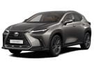 Ворсовые коврики на Lexus NX II 2021 - 2025 в Благовещенске