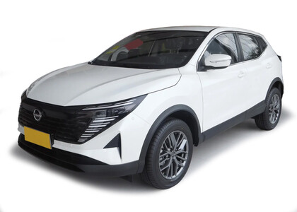 Коврики на Nissan Qashqai (J11) Glory / Honor (Китай) 2024&nbsp;-&nbsp;2026 в Благовещенске