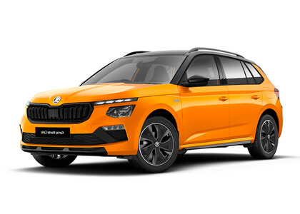 Ворсовые коврики на Skoda Kamiq (Европа) 2019&nbsp;-&nbsp;2026 в Благовещенске