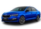 EVA коврики на Skoda Rapid II 2019 - 2025 в Благовещенске