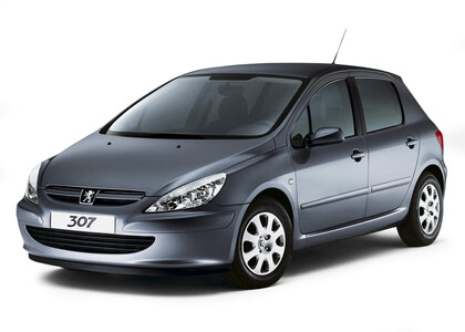 Ворсовые коврики на Peugeot 307 2001 - 2008 в Благовещенске
