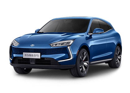 EVA коврики на Seres SF5 2019&nbsp;-&nbsp;2022 в Благовещенске