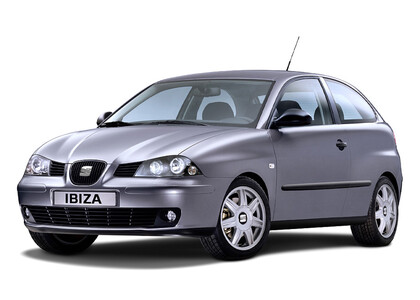 Ворсовые коврики на Seat Ibiza III 2001 - 2008 в Благовещенске