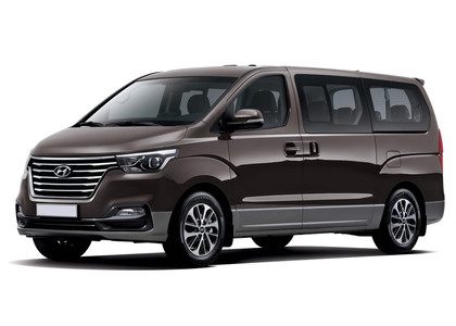 Ворсовые коврики на Hyundai H1 II 2007 - 2022 в Благовещенске