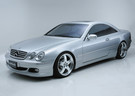EVA коврики на Mercedes CL (C215) 1998 - 2006 в Благовещенске