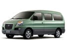 Коврики на Hyundai Starex 1996 - 2007 в Благовещенске