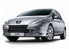 Коврики на Peugeot 307 2001 - 2008 в Благовещенске