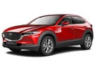 Коврики на Mazda CX30 2019 - 2025 в Благовещенске