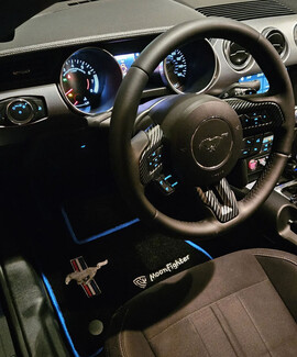 Коврики на Ford Mustang VI 2013&nbsp;-&nbsp;2023 в Благовещенске