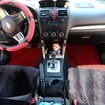 Коврики на Subaru Forester IV 2012 - 2019 в Благовещенске