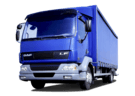 Коврики на DAF LF 2001 - 2025 в Благовещенске