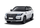 Ворсовые коврики на Changan CS95 2016 - 2025 в Благовещенске