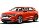 Коврики на Audi Q8 e-tron 2022 - 2025 в Благовещенске